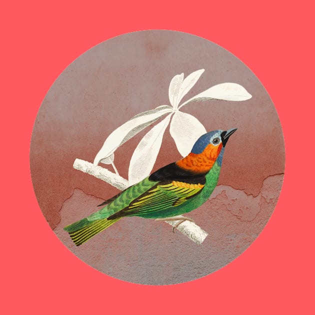 Bird Collage II by Seven Trees Design