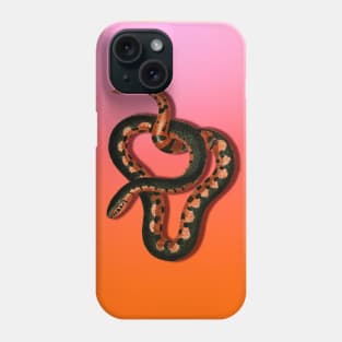 Colorful entangled snake Phone Case