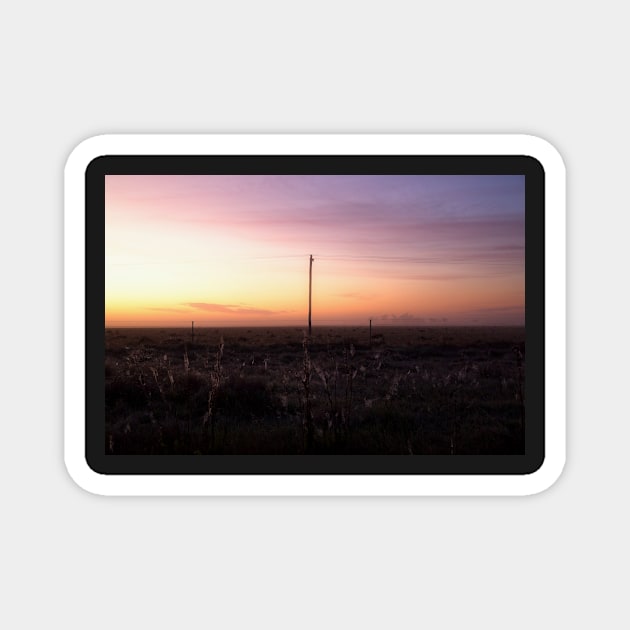 Morning light roadside Magnet by athexphotographs