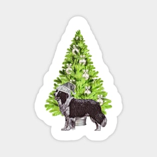 Border Collie Dog Christmas scene with Christmas tree and Santa hat Magnet