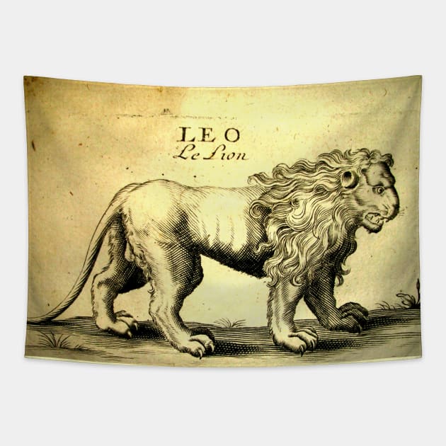 Vintage lion tapestry hot sale