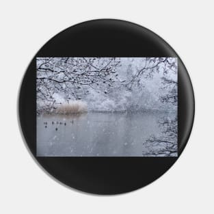 Snowy duck pond - Hampden Park, Eastbourne Pin