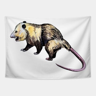 opossum Tapestry