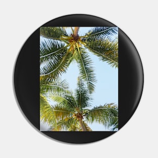 Palm trees Pin