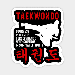 Taekwondo Martial Art Magnet