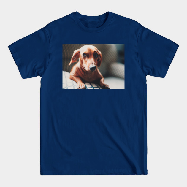 Disover A Beautiful Dog - Doglover - T-Shirt