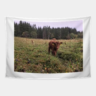 Scottish Highland Cattle Calf 1548 Tapestry