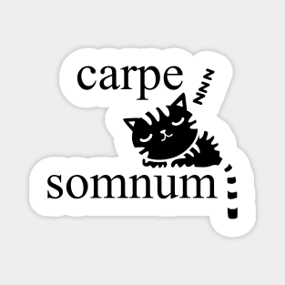 Carpe Somnum (Black) Magnet