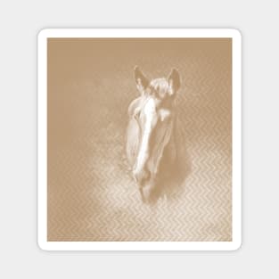 Horse emerging from the mist in iced coffee beige Magnet