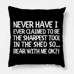 So bear with me ok?! Pillow
