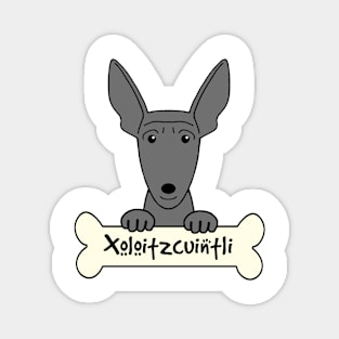 Xoloitzcuintli Magnet