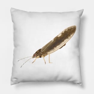 Psyllid (side) Pillow