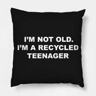 RECYCLED TEEN Pillow