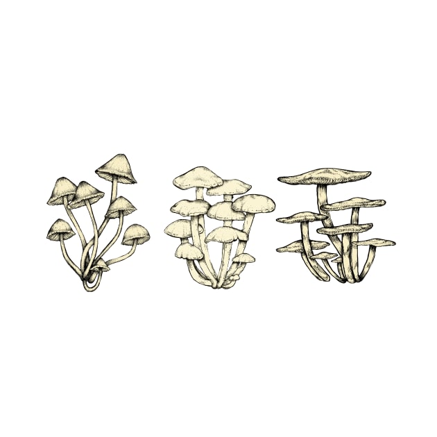 Assorted Fungi || Scientific Mycology Print by chrystakay