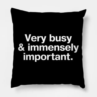 Very busy & immensely important. Pillow