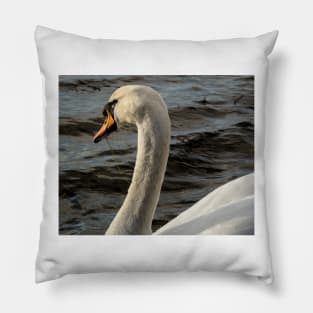 Gliding Grace - 2014 Pillow