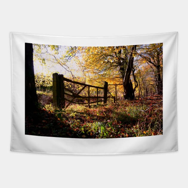 Autumn Gate Tapestry by Nigdaw