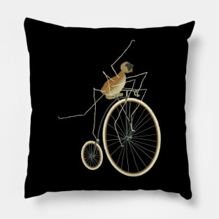 Daddy long legs Pillow