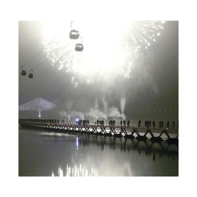 Parque das Nações. Expo. Lisbon...watching the New Year's arrival by terezadelpilar