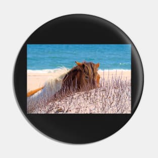 Assateague Pony Peekaboo on the Beach Pin