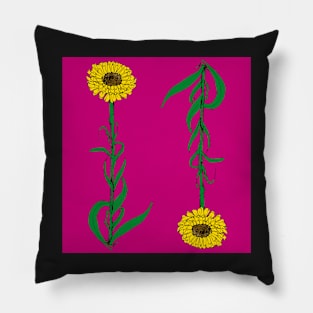 Australian Everlasting Daisy Pillow