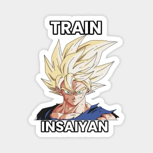 Train insaiyan! Magnet