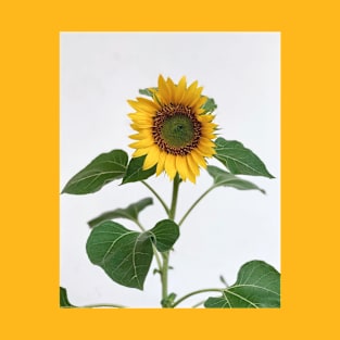 Sunflower T-Shirt