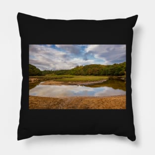 Pennard Castle and Pennard Pill Pillow