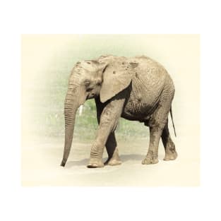 African elephant T-Shirt