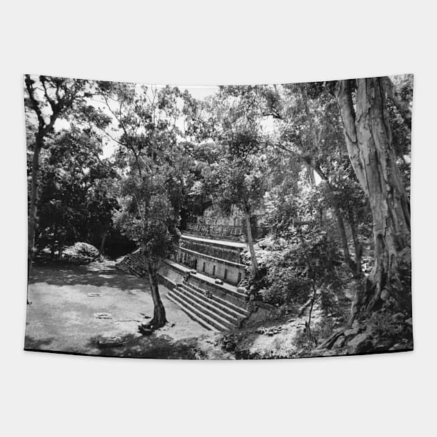 Vintage photo of Ruins of Copan Tapestry by In Memory of Jerry Frank