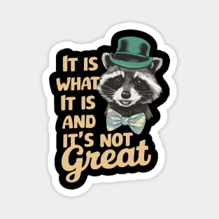 It Is What It Is And It's Not Great. Funny Raccoon Magnet