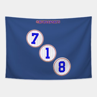 Rep Your Area Code (NY NL 718) Tapestry