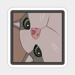 Meme cat close up Magnet