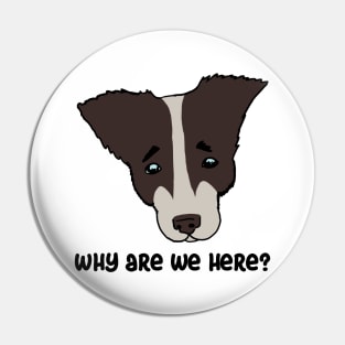 why are we here?. sad dog Pin