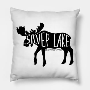 Silver Lake Pillow