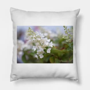 White Hydrangea Flowers with Pastel Background Pillow