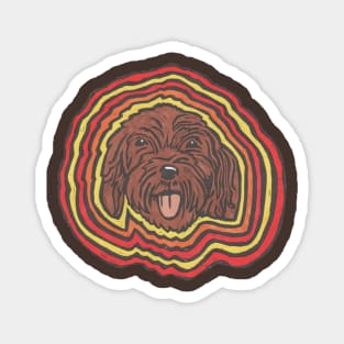 Disco Dog, Crazy Cockerpoo, Cockapoo, Lover Magnet