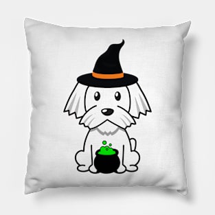 Cute white dog is a witch Pillow