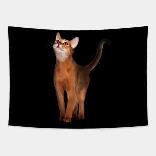 Abyssinian cat, Cat Lover Tapestry