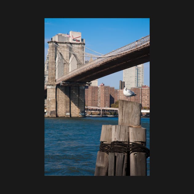 Brooklyn Bridge Photographic Print by wlotus