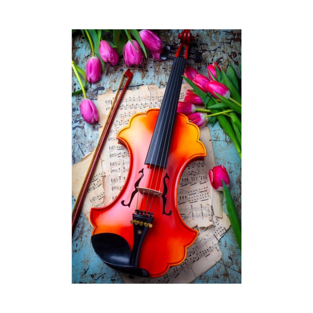 Baroque Violin And Pink Tulips by photogarry