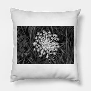 Seed Pod Black and White Pillow