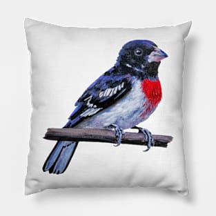 Rose Breasted Grosbeak bird painting (no background) Pillow