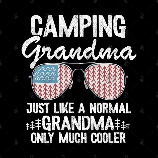 Camping Grandma Just Like A Normal Grandpa Only Much Cooler Funny Camping by Kuehni