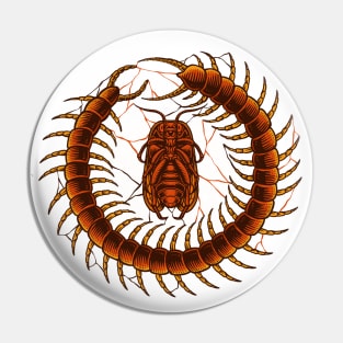 centipede cockroach Pin