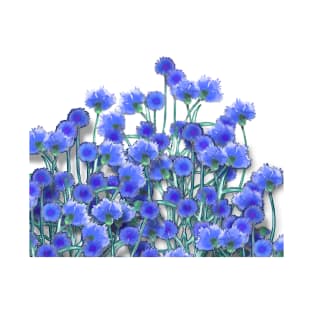 Cornflower in Blue T-Shirt