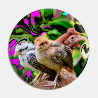 Chicken with chicks Pin