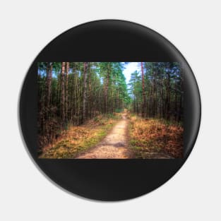 Forest Path Through the Trees Pin