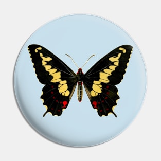 Cute butterfly illustration graphic tee Pin