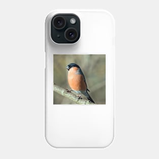 Male bullfinch Phone Case